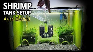 Shrimp Tank Setup for Caridina  Asian Method with Undergravel Filter [upl. by Ellehcram83]