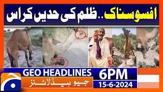 Cruelty on the rise  Geo News 6 PM Headlines  15 June 2024 [upl. by Ailegra]