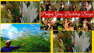 Pampas Grass Backdrop Design and Photoshoot of SpritTV [upl. by Orth]