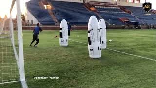 Professional Goalkeeper Training [upl. by Lebazej]