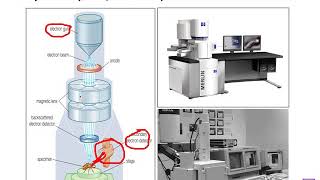 Scanning electron microscope electron gun and electron detector [upl. by Alliuqet]