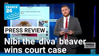 Nibi the diva beaver wins court case will be allowed to stay at rescue centre • FRANCE 24 [upl. by Shanda]