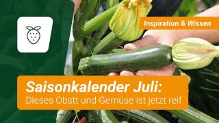 Saisonkalender Dieses Obst und Gemüse ist im Juli reif [upl. by Noremmac]