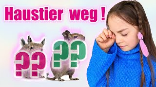 Mein Haustier ist weggelaufen  Gehege für Degu Mäuse  Clarielle und kleine Schwester Elisa [upl. by Nitsrek]