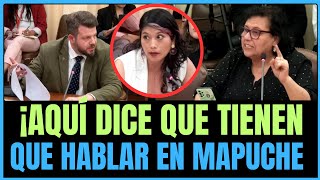 ¡INCREÍBLE ERICKA ÑANCO QUIERE QUE ENSEÑEN MAPUCHE EN TODOS LOS COLEGIOS [upl. by Jasen]