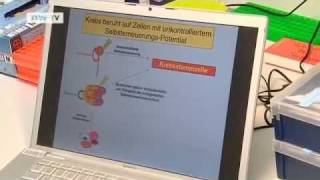 Stammzellforschung  dem Krebs auf der Spur  Projekt Zukunft [upl. by Connelly479]