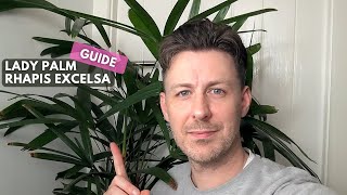 Lady Palm Rhapis Excelsa Care Guide and Growing Tips [upl. by Rednave]