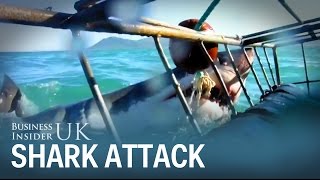 Great White Shark Gets Terrifyingly Close To Cage Divers In South Africa [upl. by Romola]