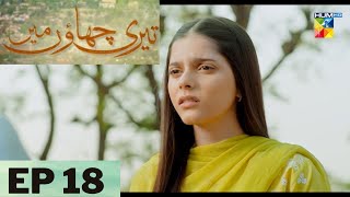 Teri Chhaon Mein Ep 18  New Interesting Promo Review Teaser  Danish Taimoor  Laiba Khurram [upl. by Eidlog841]