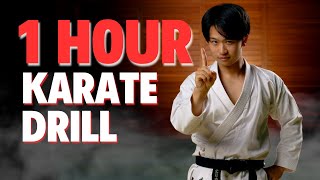 1 Hour Karate Workout Video [upl. by Beverie]