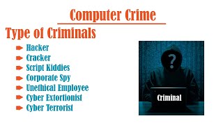 Define Computer Crime  Cyber Crime  Types of Computer Criminals  Full Explanation in Urdu [upl. by Ranilopa]