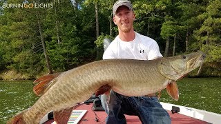 Why We Musky Fish  Highlight Video [upl. by Durwyn]