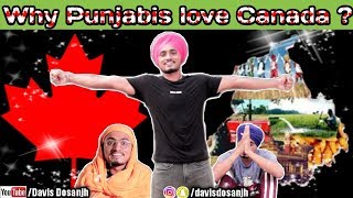 Why Punjabis love Canada   Davis Dosanjh [upl. by Enneillij42]