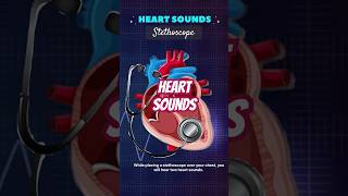 Heart sounds lub and dubneet icse shortsfeed [upl. by Berriman]