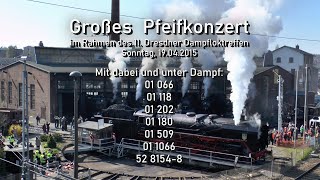 7 steam locomotives  Großes Pfeifkonzert beim 11 Dresdner Dampfloktreffen am 19042015 [upl. by Ynohtna367]