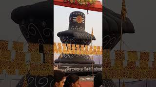 Har har mahadev mahadev mahakal trending shiv shivshankar shambhu [upl. by Elletsirk]