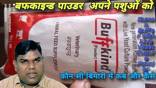 Buffkind Powder ka use apne pashuon me kab or kaise kren ll 👌🔥 cow Buffalo Farming Goat Sheep [upl. by Hakeber]