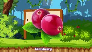 Fruits Vocabulary  60 Common Fruit Names in English with Pictures  List of Fruits in English [upl. by Noillid729]