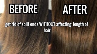 How To Get Rid Of Split Ends WITHOUT affecting length [upl. by Dorothy]