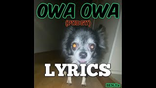 OWA OWA Song Lyrics Pudgy As Seen On TikTok Pudgywoke Owa Owa Song [upl. by Devland]