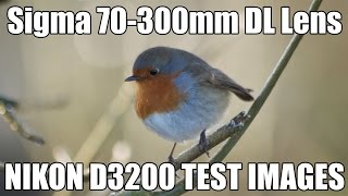 Sigma 70300mm 1456D DL Nikon Lens Test Sample Photos in 4K [upl. by La446]