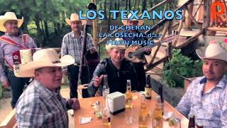 LOS TEXANOS DE CHERÁN LA COSECHA dar PIRERI MUSIC [upl. by Ilat]