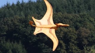 Flugsaurier Pteranodon über Camping amp Ferienpark Teichmann am Edersee 2013 Wasserflug [upl. by Leahpar]