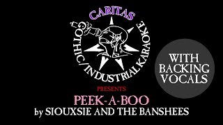 Siouxsie and The Banshees  PeekABoo  Karaoke Instrumental w Lyrics and Backing Vocals  Caritas [upl. by Alejandra]