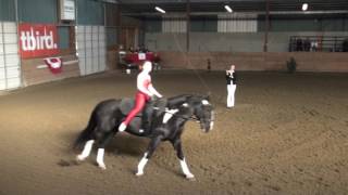 West Coast Taylor Eamor amp Cassie Sponchia Compulsories Round 1 VaultCanada Individual Canter A [upl. by Paehpos]