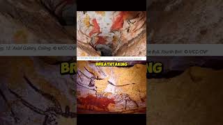 Lascaux Caves  Found by a 14YearOld Boy history [upl. by Alur]