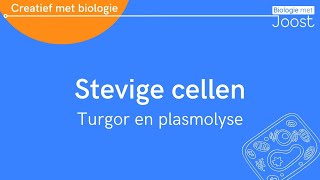 Stevige cellen turgor en plasmolyse  Creatief met Biologie [upl. by Shaia]