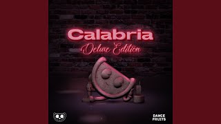 Calabria feat Fallen Roses Lujavo amp Lunis VAVO Edit [upl. by Toddie]