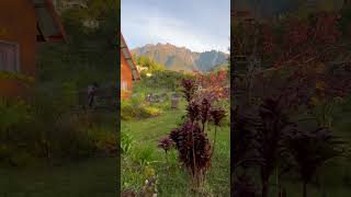 view chalet mesilau kundasang [upl. by Ecital]