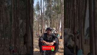 MBOSSO KHAN KWENYE UBORA WA OVAquotOVER mbosso ova newsong wasafi youtubeshorts love [upl. by Aleit106]