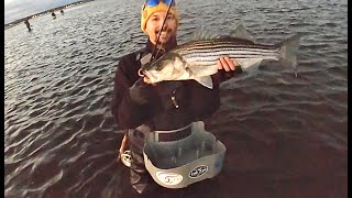 Housatonic River Fly Fishing for River Stripers [upl. by Adilen2]