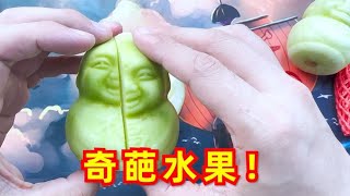 这些奇葩水果，真是又贵又难吃！【开箱小钻风】 [upl. by Anytsirhc818]