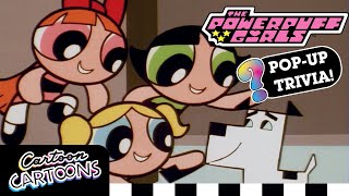 PopUp Trivia  Did You Know These Powerpuff Girls Factoids  Powerpuff Girls  Cartoon Cartoons [upl. by Esina]