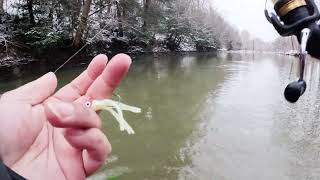 Steelhead Fishing Elk Creek PA In The Snowy Day Jan 2023 [upl. by Dreeda]