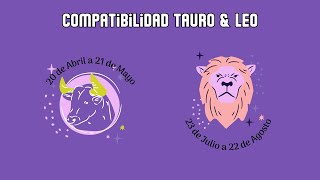 IA Predice  Compatibilidad entre Tauro amp Leo [upl. by Angelica]