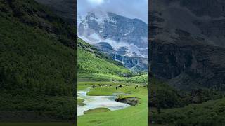 DAOCHENG YADING Beautiful China 稻城亞丁·四川 中國 旅行 chinaview travel tour travelvlog amazing [upl. by Margret941]