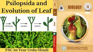 Psilopsida and Evolution of Leaf FSC1st Year  Psilopsida and Evolution of Leaf Biology UrduHindi [upl. by Athiste]