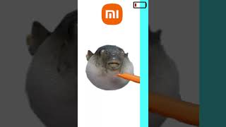 Pufferfish but phones low battery sounds shorts [upl. by Halfon]