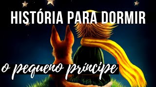 História para Dormir Pequeno Príncipe 12 [upl. by Kissiah]