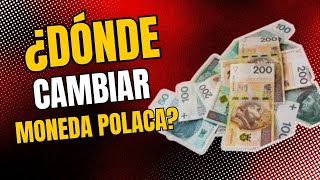 Qué MONEDA se usa en Polonia Cambio de divisas en Polonia [upl. by Karim]