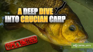 A DEEP DIVE INTO CRUCIAN CARP  Crucian Tactics amp Tips [upl. by Kazim239]