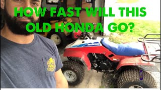 TOP SPEED RUN HONDA Fourtrax 200SX ATV Fourwheeler [upl. by Hume]