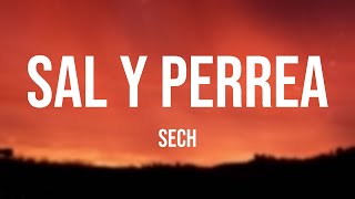 Sal y Perrea  Sech Lyrics Video 🎂 [upl. by Solrak]