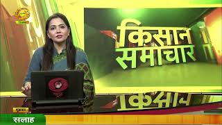 Watch latest news coverage on DD Kisans daily news bulletin Kisan Samachar Nov 22 2024 [upl. by Dimitri]