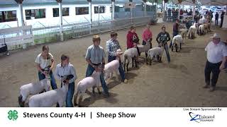 2024 Sheep Show  Stevens County 4H [upl. by Tavis]