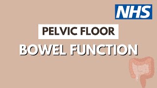 Normal bowel function  Leicester Pelvic Floor Service  UHL NHS Trust [upl. by Trust]